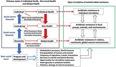 Antibiotic Resistance: Moving From Individual Health Norms to Social Norms in One Health and Global Health